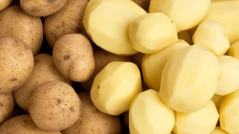 Potato