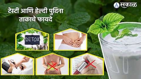 पुदिना ताक