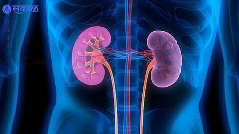 Symptoms Of A Swollen Kidney