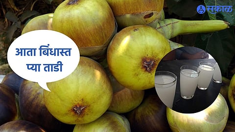Benefit Of Ice Apple