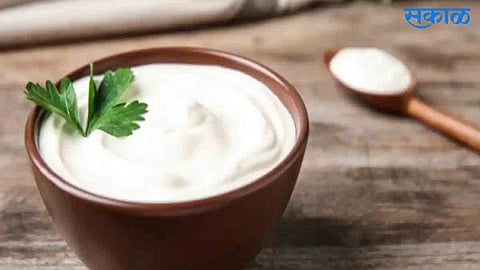 Right Way To Eat Curd