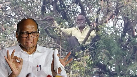 Sharad Pawar Resigns