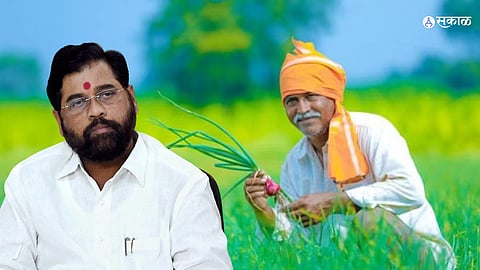 CM Eknath Shinde : राज्यात 'नमो शेतकरी महासन्मान योजना'; मंत्रिमंडळ बैठकीत शेतकऱ्यांसाठी 5 मोठे निर्णय
