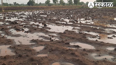 Stagnant water in fields