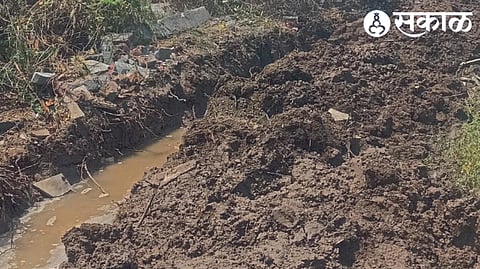 Chari carved in Dwarkanagar area.