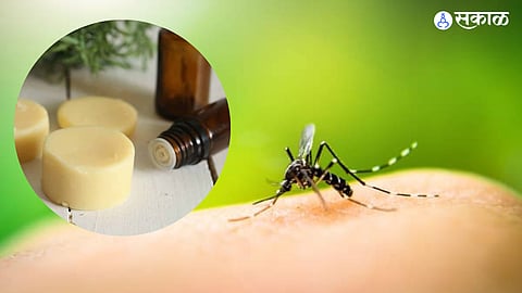 Stay Safe From Mosquito