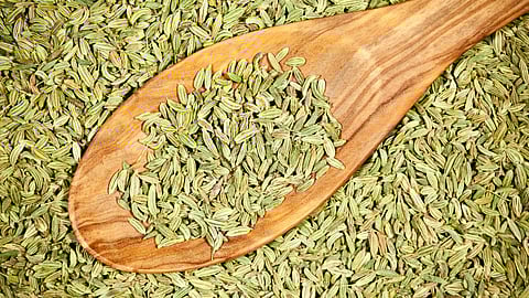 Fennel seeds