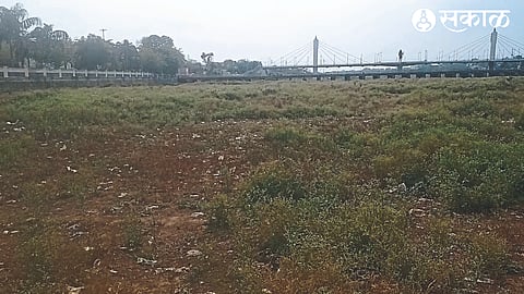 The vessel near Panjra Chowpatty is dirty with thorn grass vegetation.