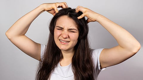 Scalp itching solution