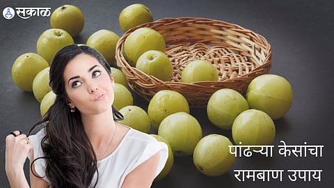 White Hair - Amla Oil Treatment