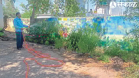 Sharad Choudhary Principal of zp School No 2 planted flowers dhule news