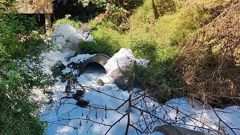 drain water in river pollution