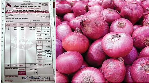 Onion