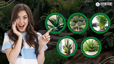 घर गार ठेवण्याचे पर्याय