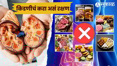 किडनीचे रक्षण