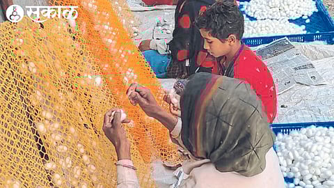 sericulture farming