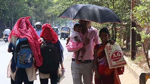 उन्हाचा फटका