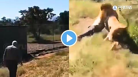 Viral VIdeo