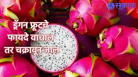 Dragon Fruit Benefits in M arathi