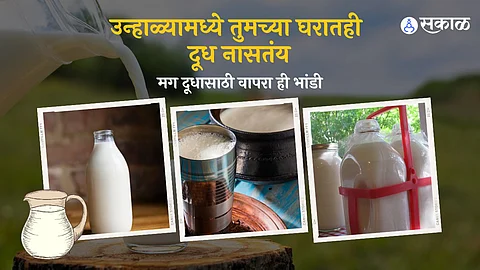 Tips To Store Milk