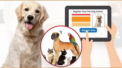 Pets Registration