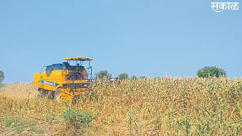 Nyahlod: Harvesting millet with the help of machine in the field of former Upsarpanch Devidas Jere