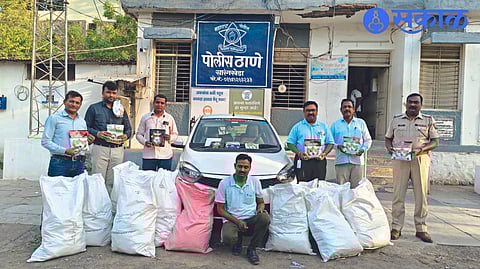11 lakh worth of cotton seeds seized without licence nandurbar crime news