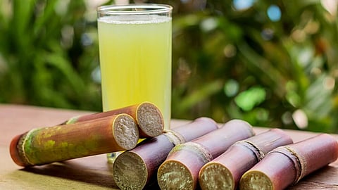 Sugarcane