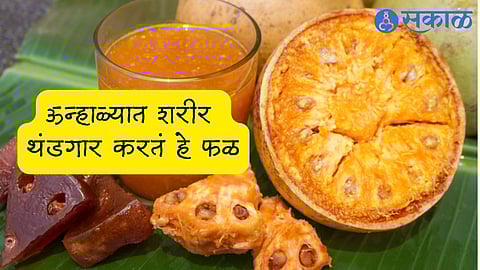 Summer Health Tips : summer health Tips Best Sharbat Recipes