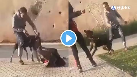 Viral Video