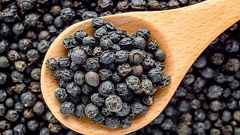 Black pepper beneficial for immunity boost