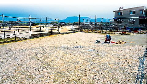 dry fish price increases due to monsoon food