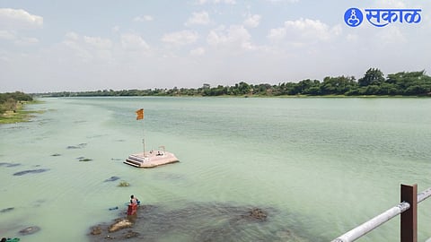 A layer of green color has appeared on the water for a distance of two kilometers due to the dumping of chemicals in the Godavari river basin