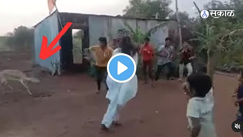 Viral VIdeo