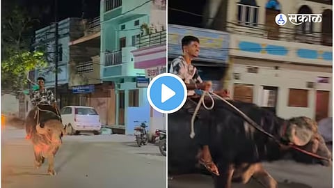 Viral Video