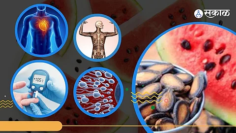 Watermelon Seeds Benefits