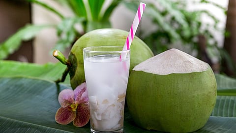 coconut
