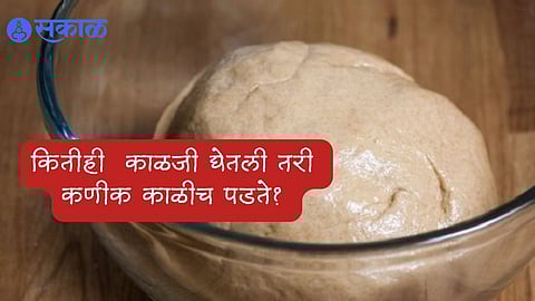 Wheat Flour Storage