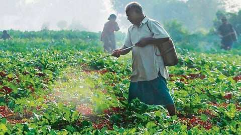 Agriculture Success Story