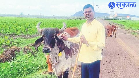 Shivaji eyes engrossed in the fields of Ajang-Rawalgaon Shivara