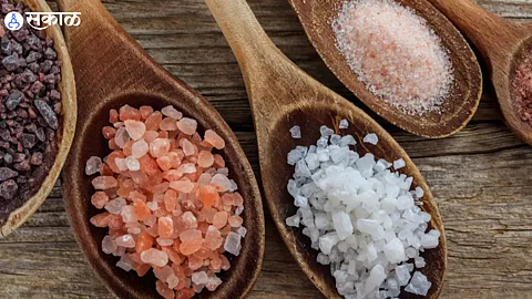 White Salt vs Pink Salt