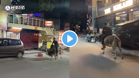 Viral Video