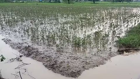 April Nuksan Bharpai