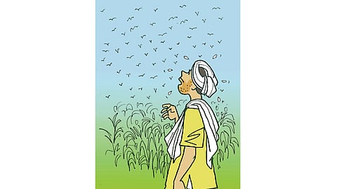 भाष्य : बारकाव्यांबद्दल बोलूयात