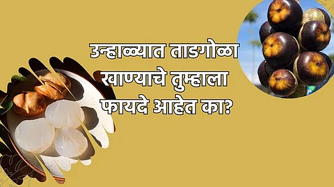 Benefits of Ice Apple