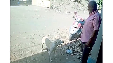 Prakash Kadam and Tommy Dog