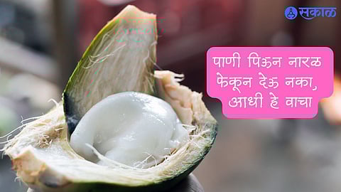 Coconut Cream Benefits