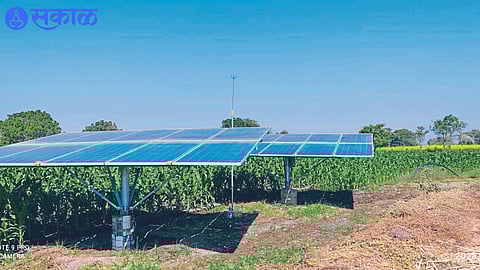 Maize crop harvested using solar energy in Shiwar