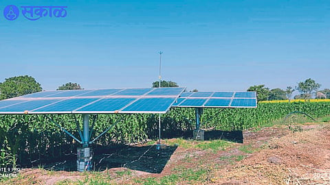 Maize crop harvested using solar energy in Shiwar
