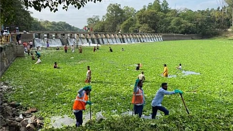 Pavana River Pollution